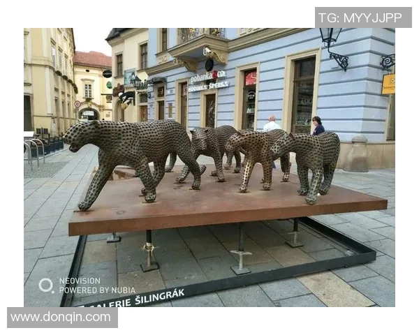 埃及与捷克足球明星的传奇故事与成就揭秘 埃及与捷克足球明星的传奇故事与成就揭秘