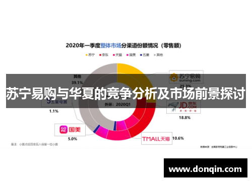 苏宁易购与华夏的竞争分析及市场前景探讨